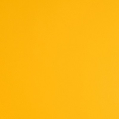 E3123M - Jaune Jonquille Mat 2